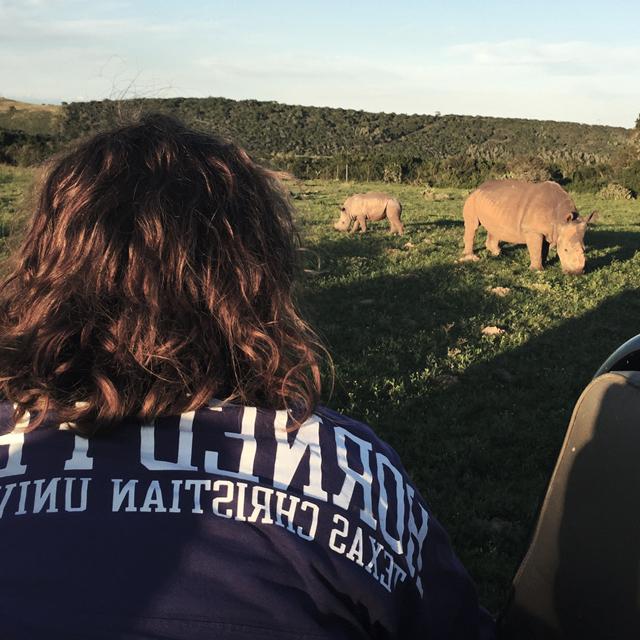 A TCU student observes a white rhino family in South Africa